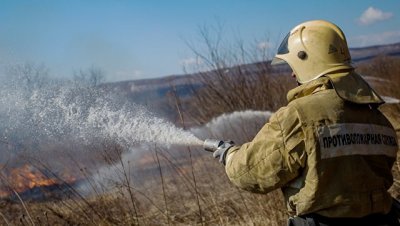 Количество лесных пожаров в ДФО за сутки сократилось на треть - «Происшествия»