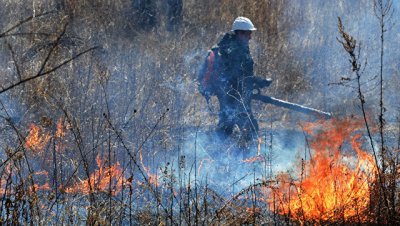 На Дальнем Востоке за сутки сгорело свыше 28 тысяч гектаров леса - РИА Новости, 29.06.2018 - «Происшествия»