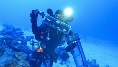 Ученые впервые подняли живых глубинных рыб к поверхности океана - «Наука»