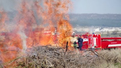 В Дагестане потушили природный пожар площадью 100 гектаров - «Происшествия»
