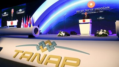 В Турции открыли газопровод в обход России - «Экономика»