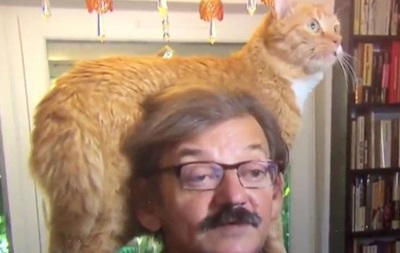 Кот ворвался в интервью и стал героем сети - (видео)