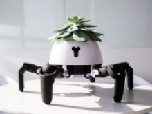 Создали робота, который помогает растениям получать нужное количество солнечного света - «Новости Банков»
