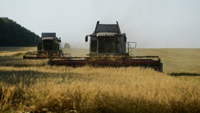 Минсельхоз может пересмотреть прогноз по урожаю зерна - РИА Новости, 06.07.2018 - «Экономика»