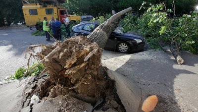 В Москве упавшие из-за ветра деревья повредили пять автомобилей - РИА Новости, 30.06.2018 - «Происшествия»