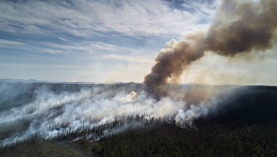 Власти Бурятии считают, что дым в республику принесло из соседних регионов - РИА Новости, 01.07.2018 - «Происшествия»