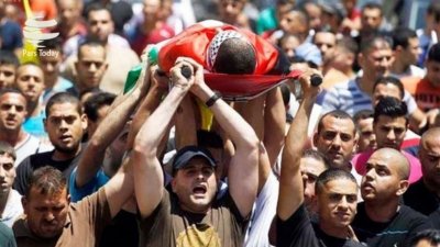 Палестинцы продолжили «Марш возвращения» — пострадало 30 человек - «Военные действия»