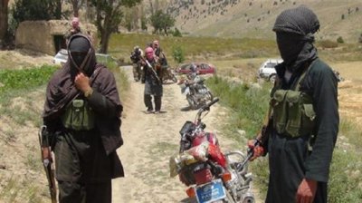 Талибы ищут переговоров с США - «Военные действия»