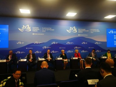 В рамках IV Восточного экономического форума состоялась панельная сессия по туризму - «Туризм»