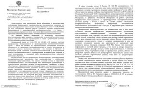 Власть мечтает к каждой семье с ребенком приставить надзирателя - «Общество»
