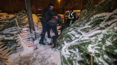 В Киеве продавец елок отбивался топором от грабителей с ножами и газовым баллончиком - «Новороссия»