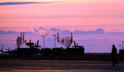 Эх, хвост, чешуя: Украина из-за собственной дури потеряла хамсу и тюльку Азовского моря - «Экономика»