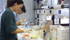 Климатическое оружие: Россия нашлет на Америку цунами - «Политика»