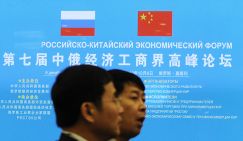 Кто уничтожает русский лес, пытаясь свалить на китайцев - «Экономика»