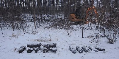 Камчатские военные выбросили в болото боеприпасы на 1,3 млн рублей ради отчетности