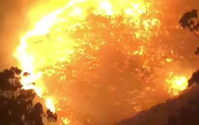 В ЮАР вспыхнули лесные пожары - (видео)