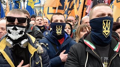 «Ветеран АТО» призвал строить украинскую государственность на основе опыта нацистской Германии - «Новороссия»