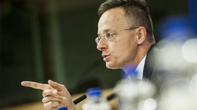 МИД: Венгрия не будет жертвовать интересами соотечественников в Закарпатье в угоду геополитике - «Новороссия»