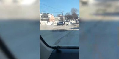 На Сахалине полицейские привязали к машине собаку и проволокли по улице