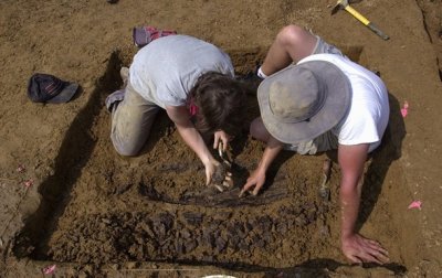 Огромную тропу динозавров нашли в Австралии - (видео)