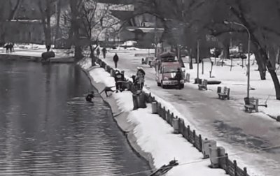 В Днепре мужчина спас собаку из ледяной воды - (видео)