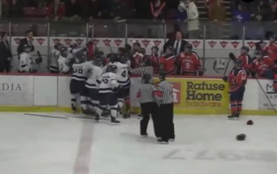В Канаде произошла массовая драка хоккеистов - (видео)