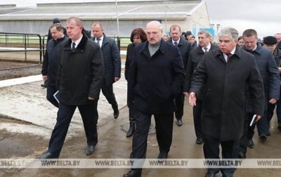 "Это же Освенцим": Лукашенко уволил губернатора после посещения коровника - (видео)
