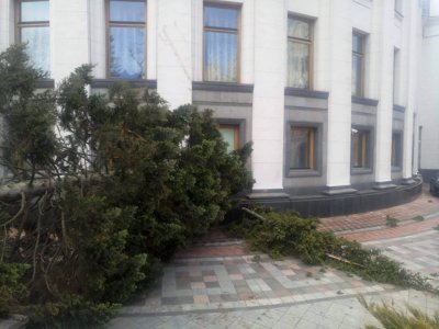 В Киеве во время урагана дерево упало на здание Верховной рады - «Новороссия»