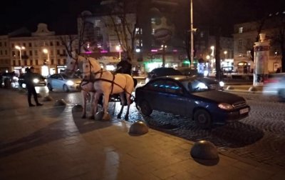 Во Львове пьяный извозчик кареты устроил ДТП - (видео)