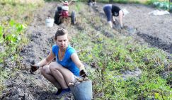 И на старушку находит «мокрушка: Как мстят ограбленные пенсионеры - «Происшествия»