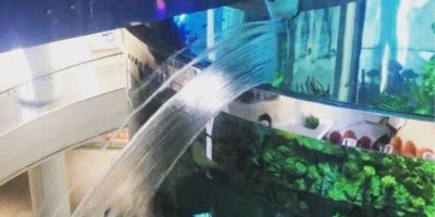 Московский ТЦ затопило из-за трещины в гигантском аквариуме на 1 млн литров