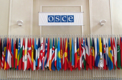 ОБСЕ признала законность выборов на Украине - «Новороссия»