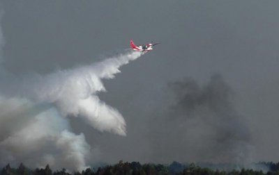 Пожар в ландшафтном парке в Черниговской области ликвидировали - (видео)
