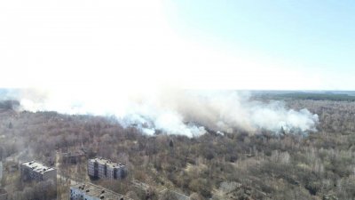 В Чернобыльской «зоне» начался сильный пожар - «Новороссия»