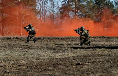 В Эстонии начались военные учения с участием украинских военных - «Новороссия»