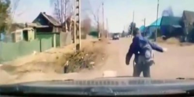 В Красноярском крае водители спасли школьника от огромного алабая