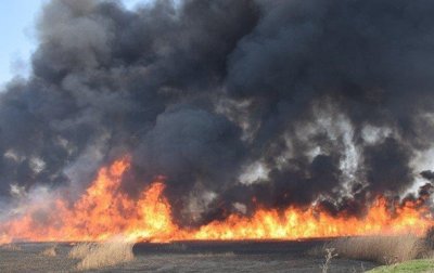 В Николаеве вспыхнул масштабный пожар - (видео)