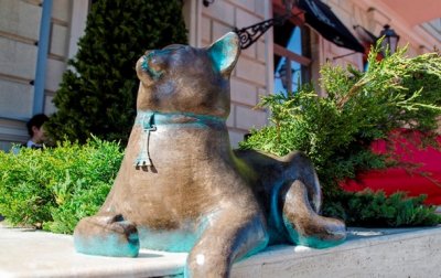 В Одессе открыт памятник беззаботной кошке Софе - (видео)