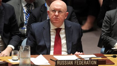 Западные пользователи сети поддержали выступление России на Совбезе ООН - «Новороссия»