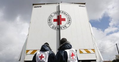Красный крест направил в Донбасс более 95 тонн гуманитарной помощи - «Новороссия»