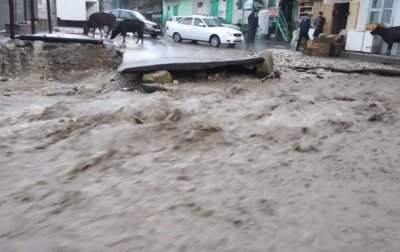 Селевой поток в России унес стадо и пять машин - (видео)