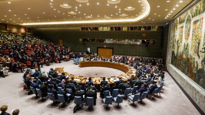 США, Германия и Франция заблокировали заседание СБ ООН по закону о госязыке Украины - «Новороссия»