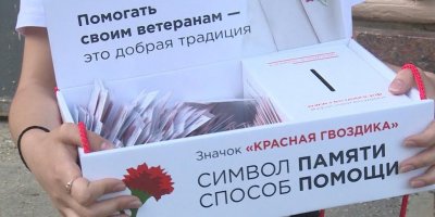 Волонтеры Победы запустили благотворительную акцию "Красная гвоздика"