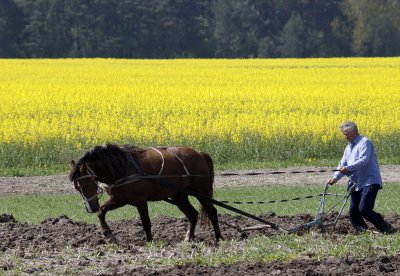 Всемирный банк даст Украине $200 млн на развитие сельского хозяйства - «Новороссия»
