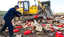 Кто вы, мистер Путин: Защитник олигархов или народа? - «Политика»