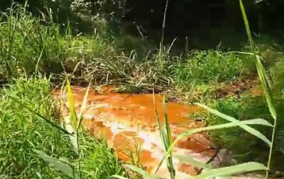 В Харькове река окрасилась в оранжевый цвет - (видео)