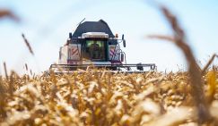 Крах доллара: Мир готовится устроить обвал валюте США - «Экономика»