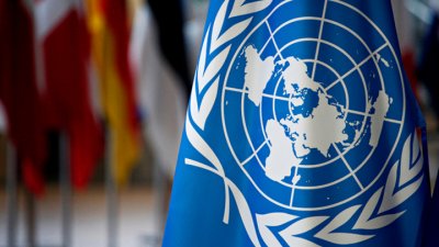ООН выразила надежду на обеспечение языковых прав нацменьшинств на Украине - «Новороссия»
