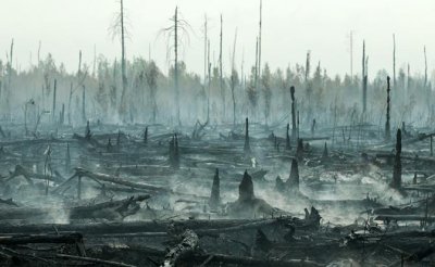 Почему Россия, предлагая помощь другим, не может потушить пожары у себя в Сибири? - «Происшествия»
