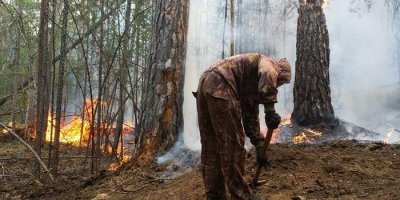 Путин подключил военных к тушению лесных пожаров